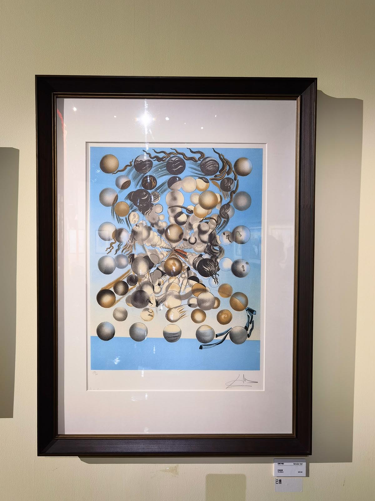 images/art/2021-09-21 萨尔瓦多达利/17.jpg